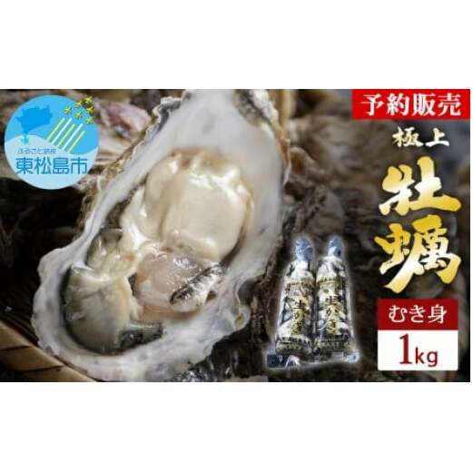 【2025シーズン受付開始!】 11月中旬から順次発送予定 宮城県 奥松島産 極上 旨 牡蠣 かき カキ 1kg(むき身) 加熱用 500g×2本 極上旨牡蠣