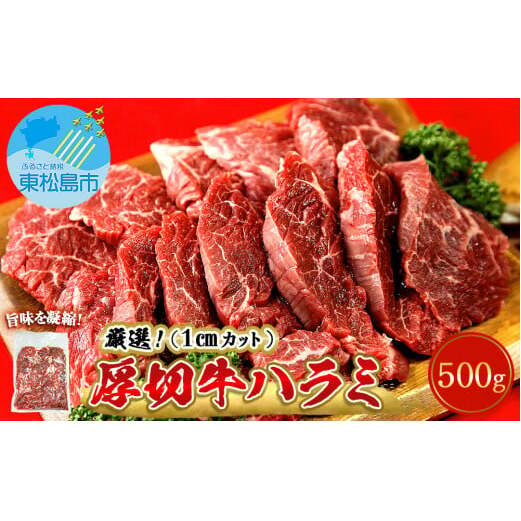 厳選 牛ハラミ 厚切り 500g 味付 急速 冷凍 1cmカット 牛肉 焼肉 バーベキュー ＢＢＱ 宮城県 東松島市 オンラインワンストップ 対応 自治体マイページ 佐利 B