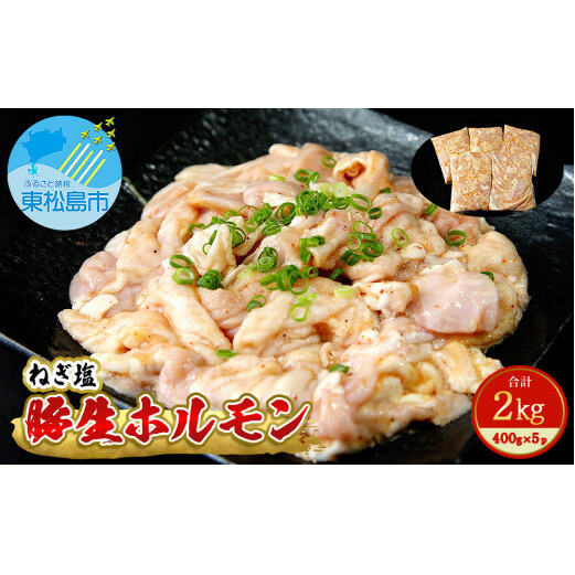 国産 豚 生ホルモン ねぎ塩味 2kg（400g×5パック） 冷凍 小分け 味付 簡単 調理 豚ホルモン ブタホルモン ホルモン 焼肉 おつまみ バーベキュー BBQ 宮城県 東松島市 オンラインワンストップ 対応 自治体マイページ 佐利 H