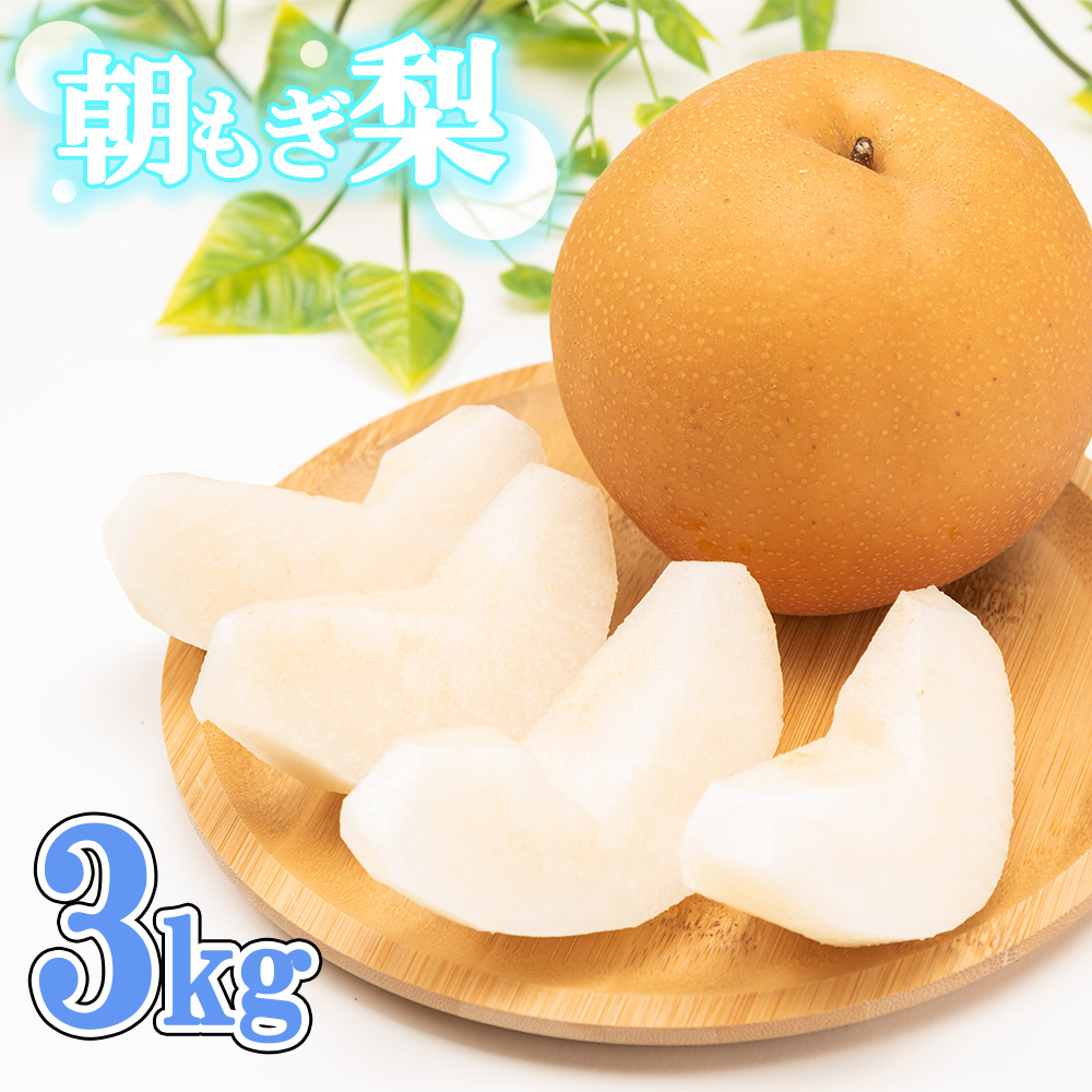 【2026年発送分 先行予約】100年の歴史！！　アライファームの「朝もぎ梨」幸水・豊水・あきづき 約3kg　【11246-0352】