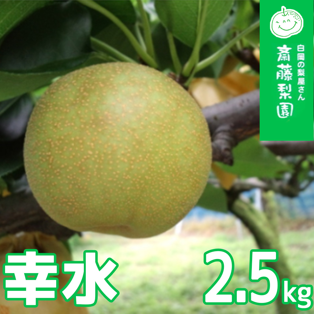 【2026年発送分 先行予約】白岡・下野田 斎藤さんちの美味しい梨 幸水　約2.5kg　【11246-0359】