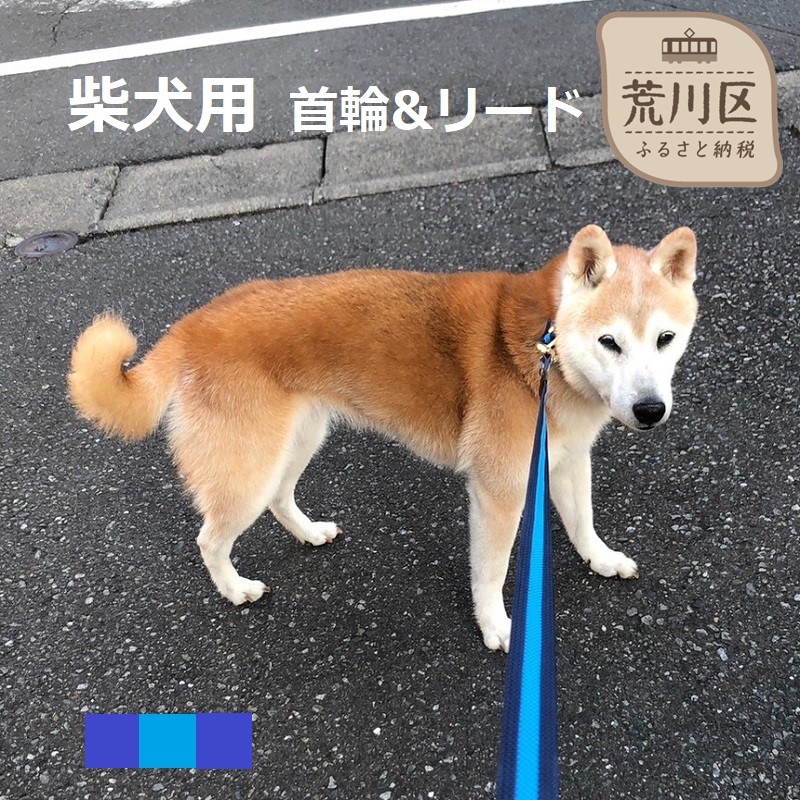 柴犬 首輪 24号 販売