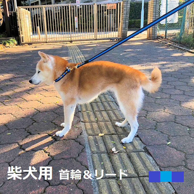 柴犬 首輪 24号 販売