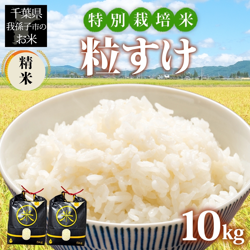 19971003 千葉県 我孫子市産 特別栽培米 精米 粒すけ 10kg(5kg×2)