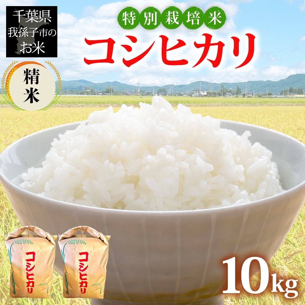 19971004 千葉県 我孫子市産 特別栽培米 精米 コシヒカリ 10kg(5kg×2)