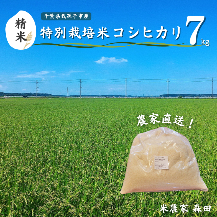AT001-a [冷めても美味しい]農家直送 千葉県産 特別栽培米コシヒカリ 7kg(精米)