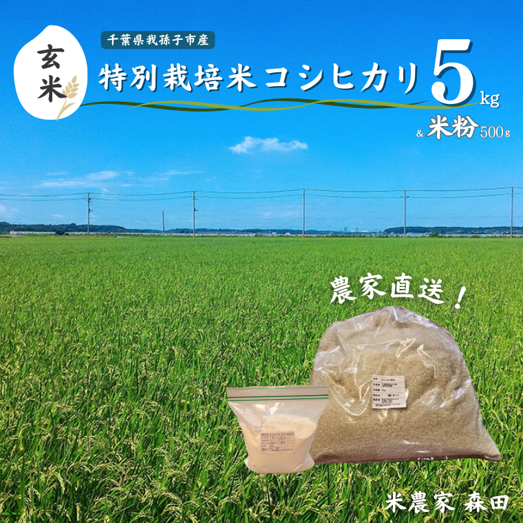 AT002-c [冷めても美味しい]農家直送 千葉県産 特別栽培米コシヒカリ 5kg(玄米)と米粉のセット