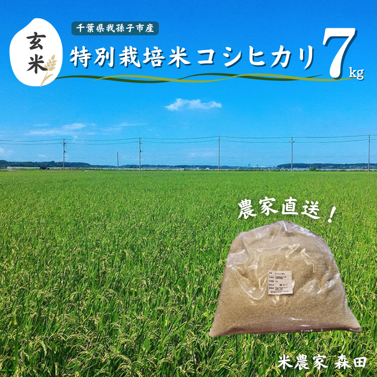 AT002-a [冷めても美味しい]農家直送 千葉県産 特別栽培米コシヒカリ 7kg(玄米)