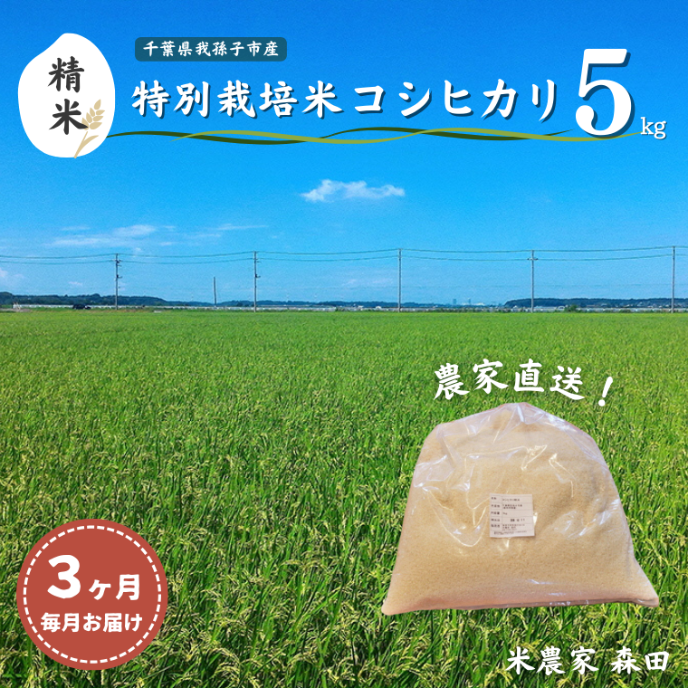AT001-d [毎月定期便3回]冷めても美味しい 農家直送 千葉県産 特別栽培米コシヒカリ 5kg×3回 計15kg(精米)