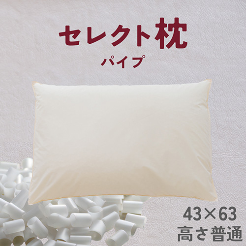 AO044&a セレクト枕 パイプ B-type 標準タイプ 普通 シングル