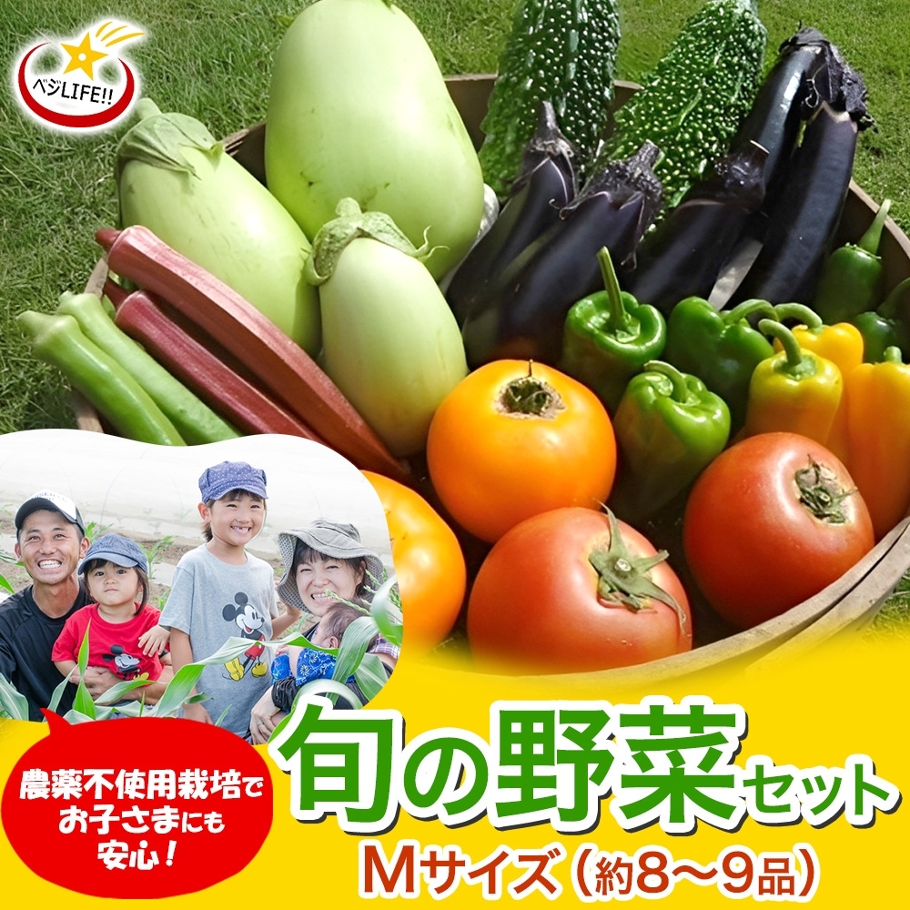 旬の野菜セットMサイズ (約8~9品)