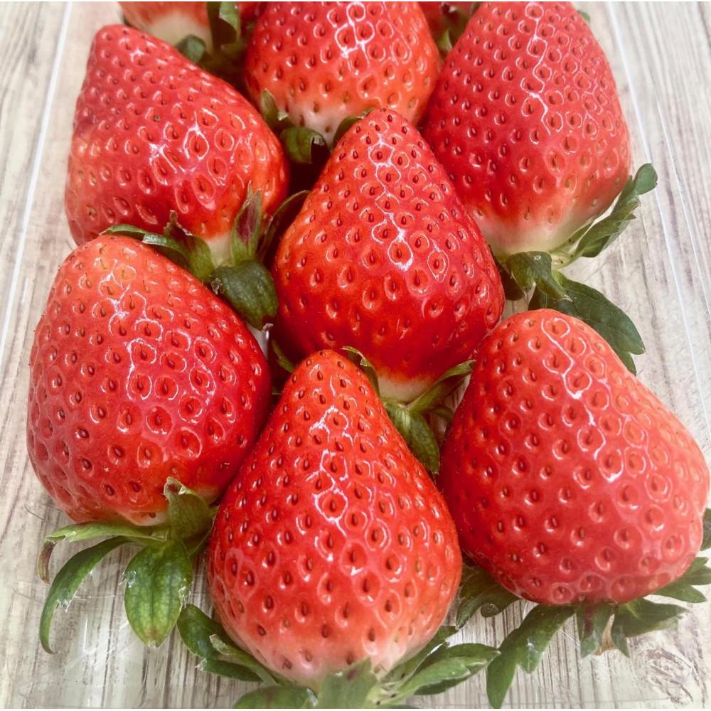 神戸市産いちご