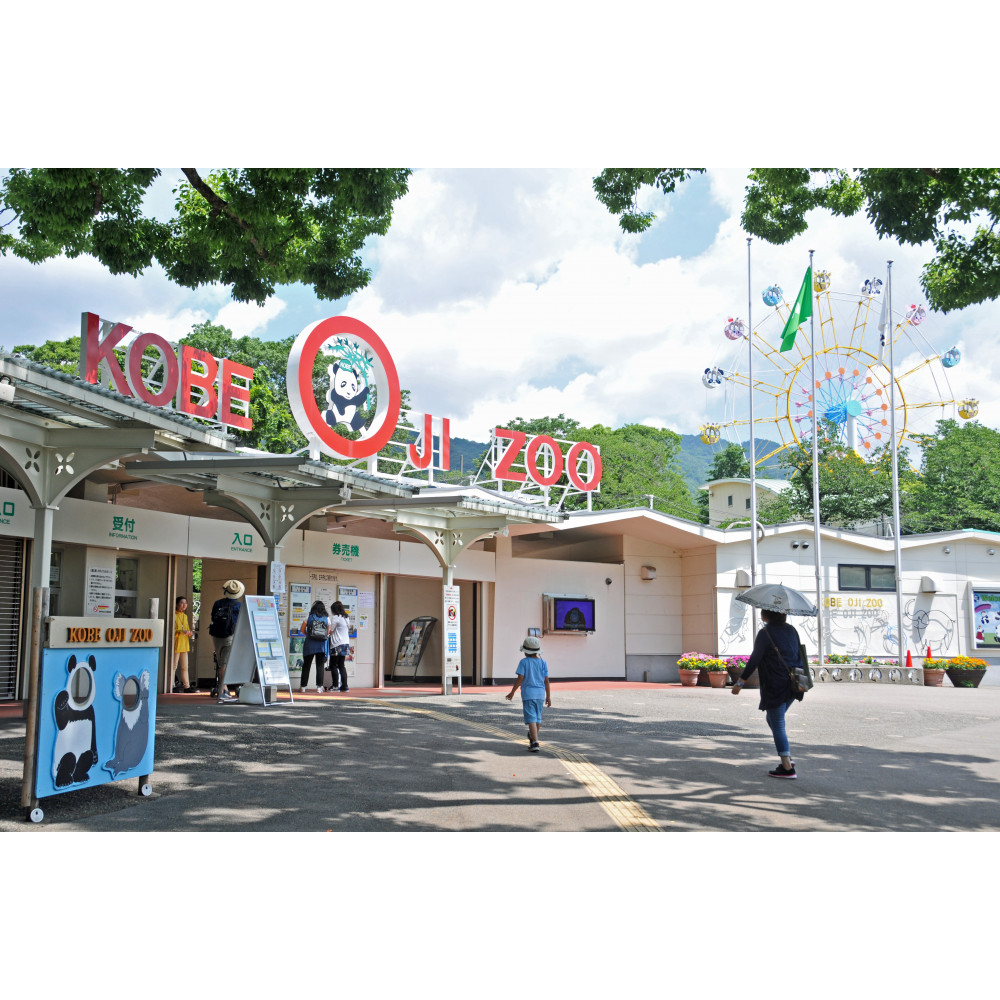王子動物園グッズ&入園券(5枚)
