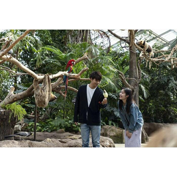 神戸どうぶつ王国入園&「神戸ポートピアホテル」ペアランチ券