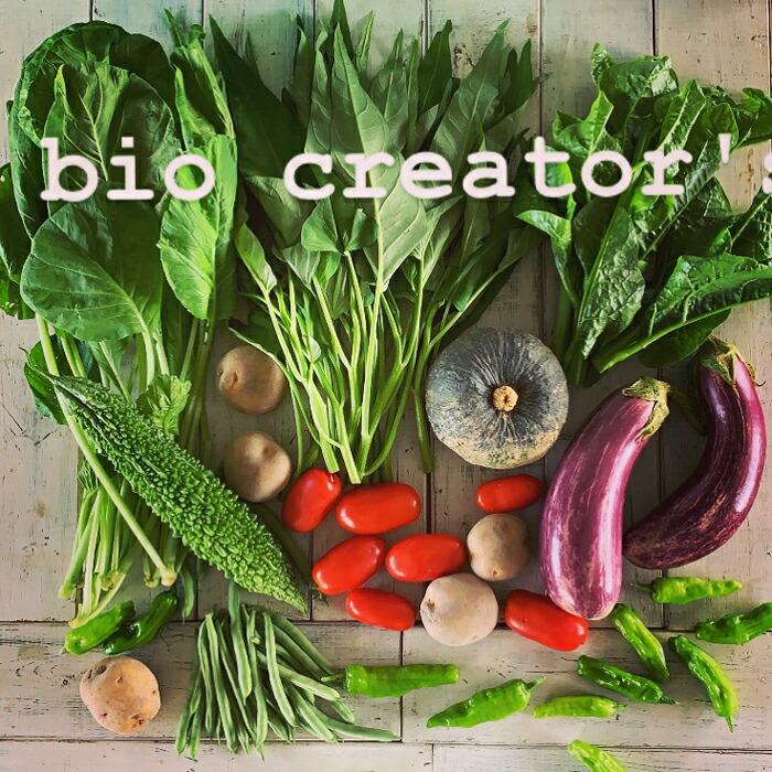 神戸で育った有機野菜セット