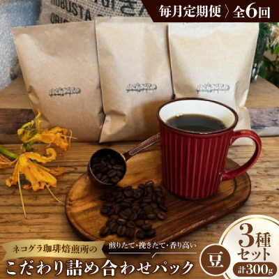 【毎月定期便】《豆3種計300g》ネコグラ珈琲焙煎所の煎りたて挽きたてコーヒーセット全6回【4064361】