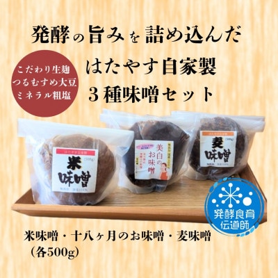 発酵食育伝道師の三種の味噌セット【配送不可地域：離島】【1677616】