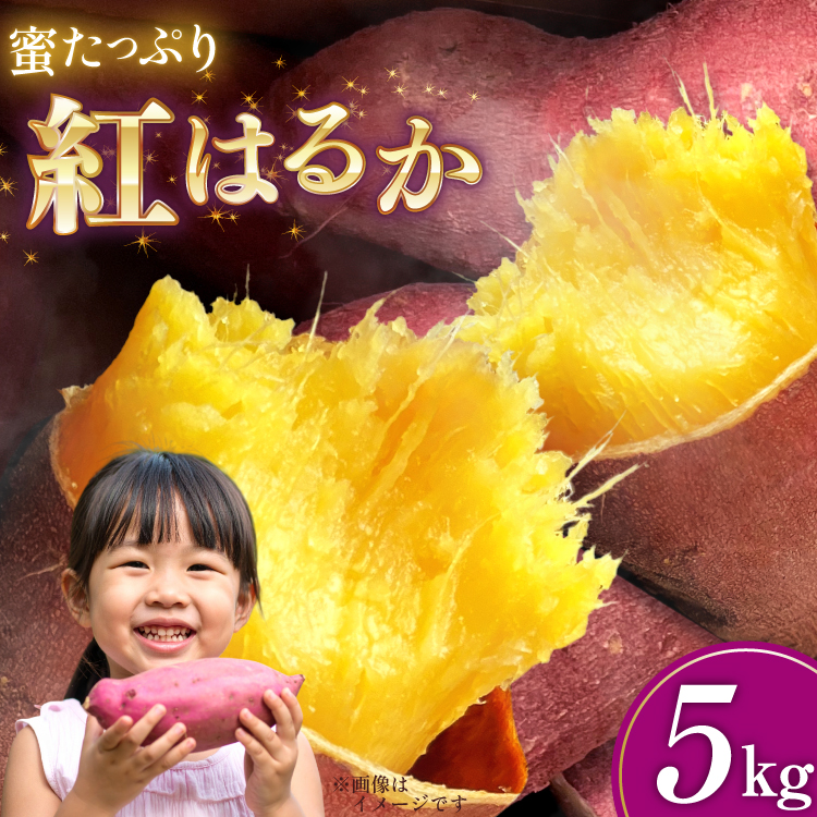 さつまいも 紅はるか 5kg 【2025年11月前半～2026年3月後半配送】 [SSSファーム 兵庫県 三田市 3d28bed520000] 芋 さつま芋 べにはるか お芋 5キロ