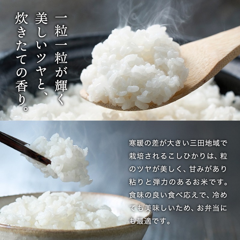 令和6年度産 三田米 コシヒカリ ( 5kg )米 こめ コメ お米 おこめ オコメ 精米 白米 もちもち つやつや ご飯 ごはん ふるさと納税  ふるさと 人気 おすすめ 送料無料 兵庫県 三田市 | 兵庫県三田市 | JRE MALLふるさと納税