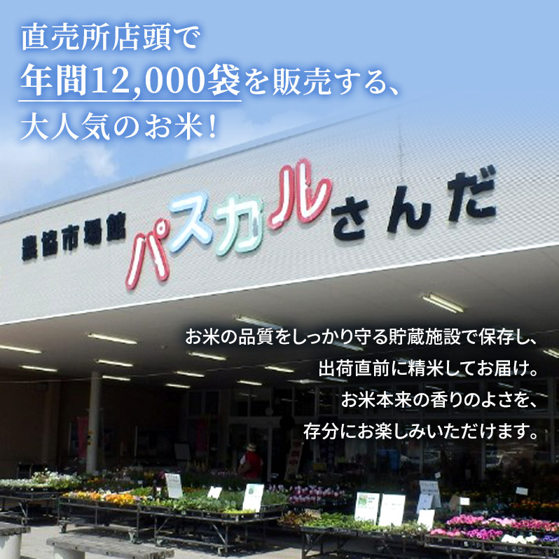 隔月3回 定期便】 令和6年度産 三田米 コシヒカリ 3kg こめ コメ お米 白米 こしひかり 数量限定 訳あり ふるさと納税 ふるさと 人気  おすすめ 送料無料 兵庫県 三田市 | 兵庫県三田市 | JRE MALLふるさと納税