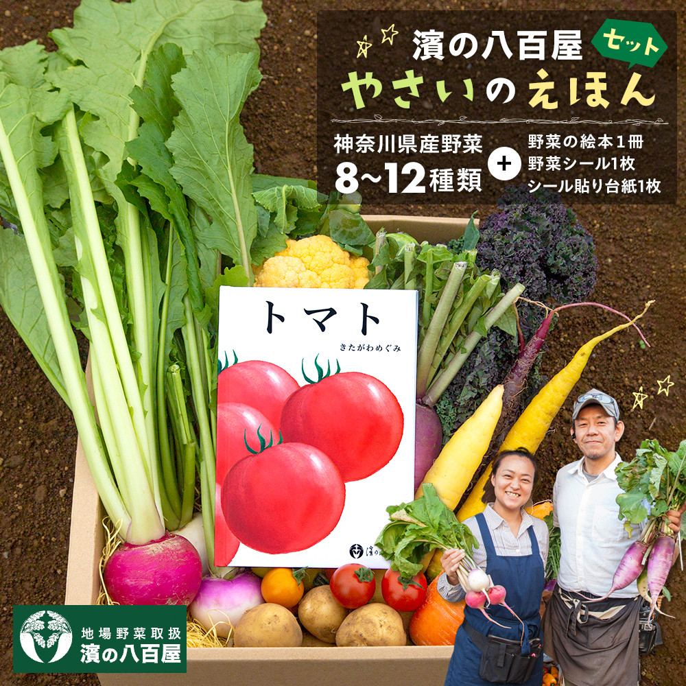 【濱の八百屋】やさいのえほんセット（8～12種類）