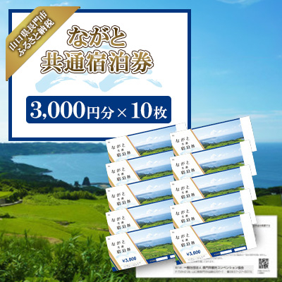 ながと共通宿泊券3,000円分×10枚【1343876】