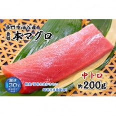 油谷産養殖本マグロ 中トロ柵 200g(1087)【配送不可地域:離島・北海道・沖縄・東北】【1355213】