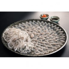 刺身 てっさ とらふぐ トラフグ刺身ふぐ 5人前 セット 冷凍 とらふぐ干しひれ付き【配送不可地域：離島】【1499119】