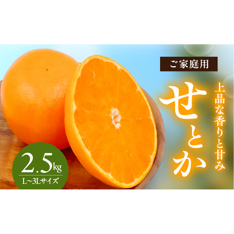 せとか L~3Lサイズ 2.5kg ご家庭用