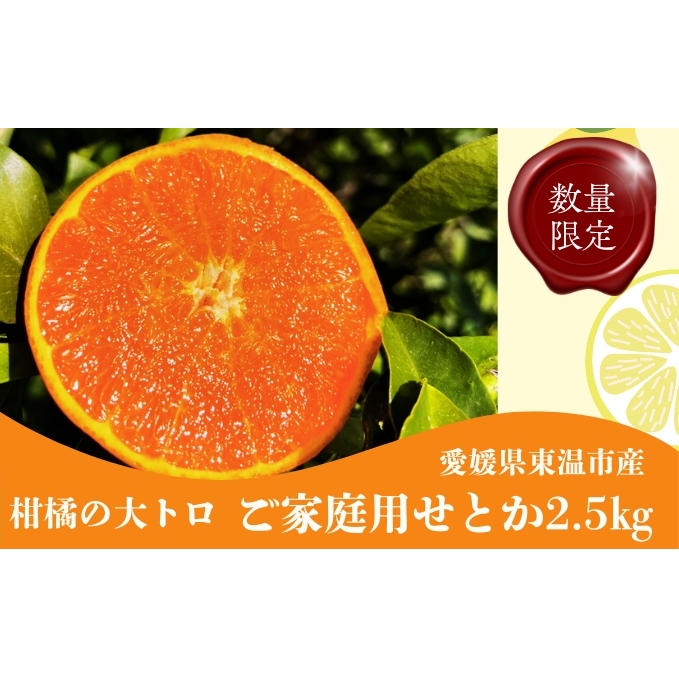 せとか2.5ｋｇ ご家庭用 サイズお任せ 今が旬 農園直送 みかん 人気 数量限定 先行予約 柑橘 蜜柑 ミカン 愛媛みかん かんきつ 国産 愛媛県 産地直送 フルーツ 果物 くだもの 甘い 2.5キロ箱 大粒 果実　瀨戸香