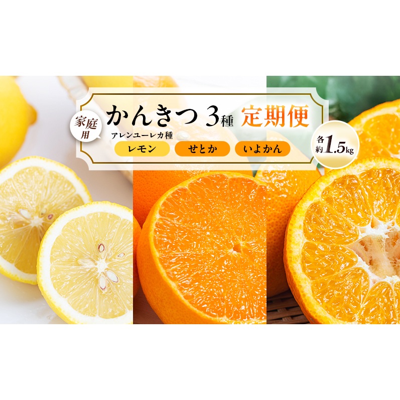【 かんきつ 3種 定期便 】アレンユーレカ種 レモン ・ せとか ・ いよかん 各約1.5kg　ご家庭用 サイズお任せ 旬 農園直送 産地直送 フルーツ 果物 くだもの 柑橘 愛媛県 東温市