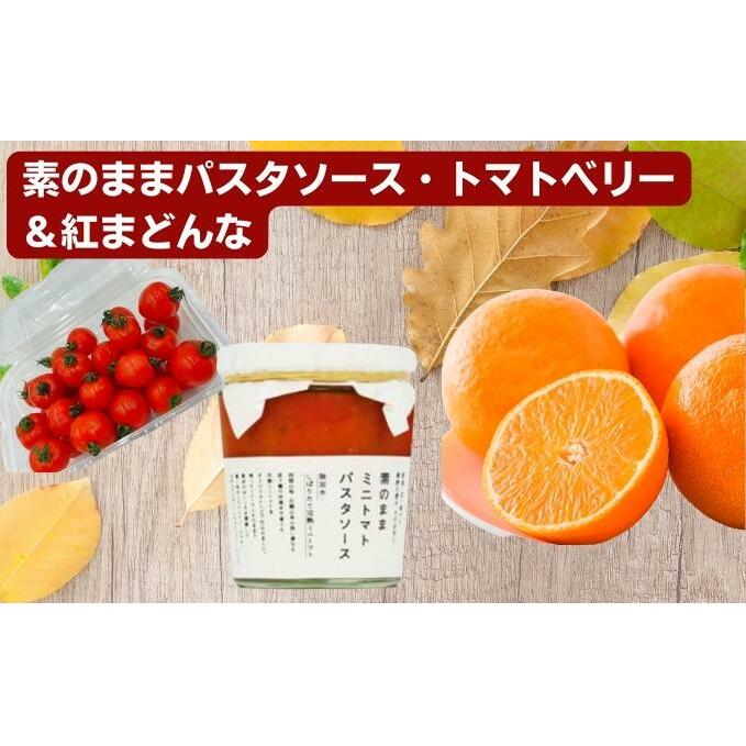「栗林農園」素のままパスタソースとトマトベリーと紅まどんなのセット 素材の味 無水調理 凝縮 無着色 無香料 化学調味料 不使用 合成保存料 ミニトマト みかん