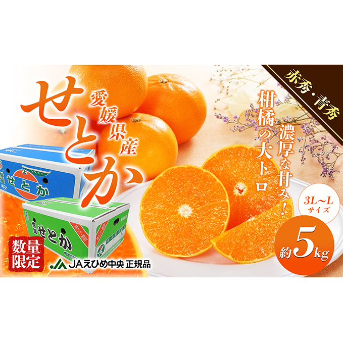 露地せとか 赤秀・青秀 約5kg 果物類 みかん 柑橘 フルーツ 食後 デザート ジューシー 甘い コク 香り 国産 愛媛県産 愛媛県産せとか