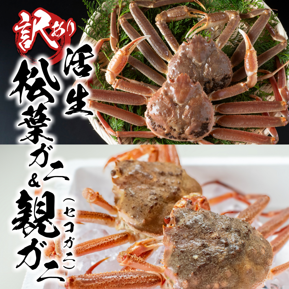 【22013】鳥取県網代産 訳あり松葉がに 親がに 夫婦セット(生)