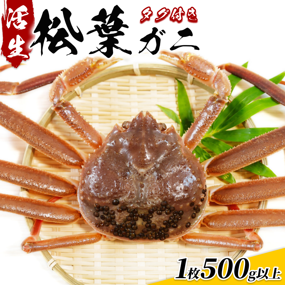 【22014】鳥取県網代産 松葉がに(ブランドタグ付き)500g以上(生)