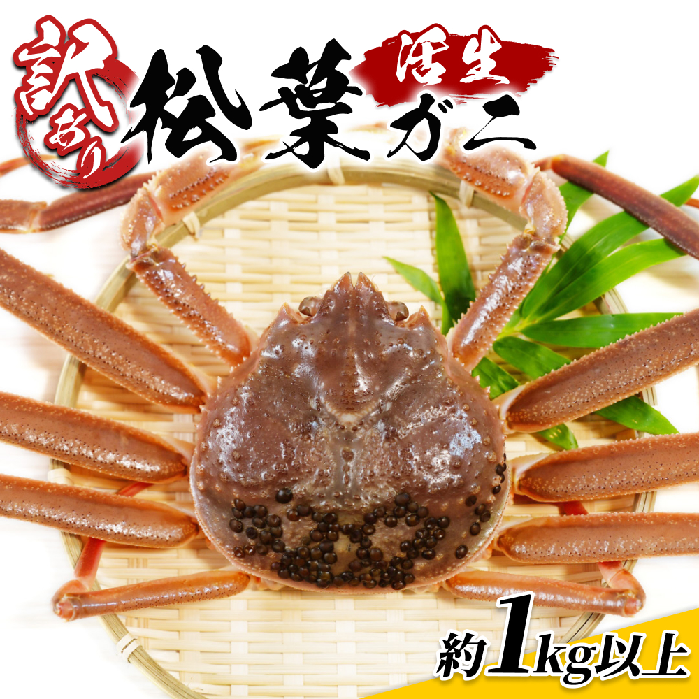 【22016】鳥取県網代産 訳あり松葉がに1kgセット