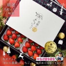 究極のふつういちご「厳選大粒 とちあいか」30粒入り&いちご狩りご招待券(ペア)【配送不可地域:離島・沖縄】【1565666】
