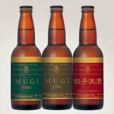 栃木の地ビール厳選3本セット【配送不可地域:離島】【1291462】