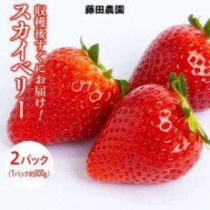 栃木県産いちご【スカイベリー】(2パック(約600g))【配送不可地域:離島・北海道・沖縄・信越、北陸・東海・近畿・中国・四国・九州】【1376291】
