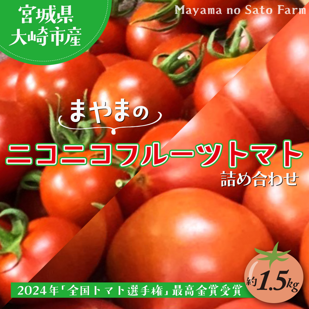 宮城県大崎市産|まやまのニコニコフルーツトマト詰め合わせ 約1.5kg[第3回トマト選手権 最高金賞受賞]