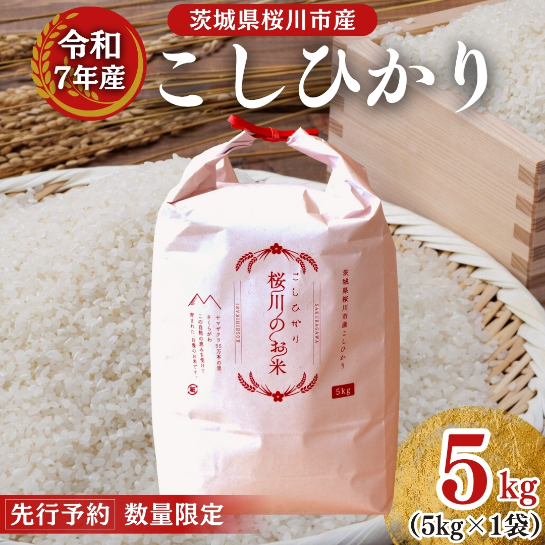 【生産者支援】 《令和7年産 先行予約》茨城県 桜川市産 こしひかり5kg 茨城県産 桜川 米 お米 白米 コメ ごはん 精米 コシヒカリ 国産 限定 銘柄米 [SC051sa]