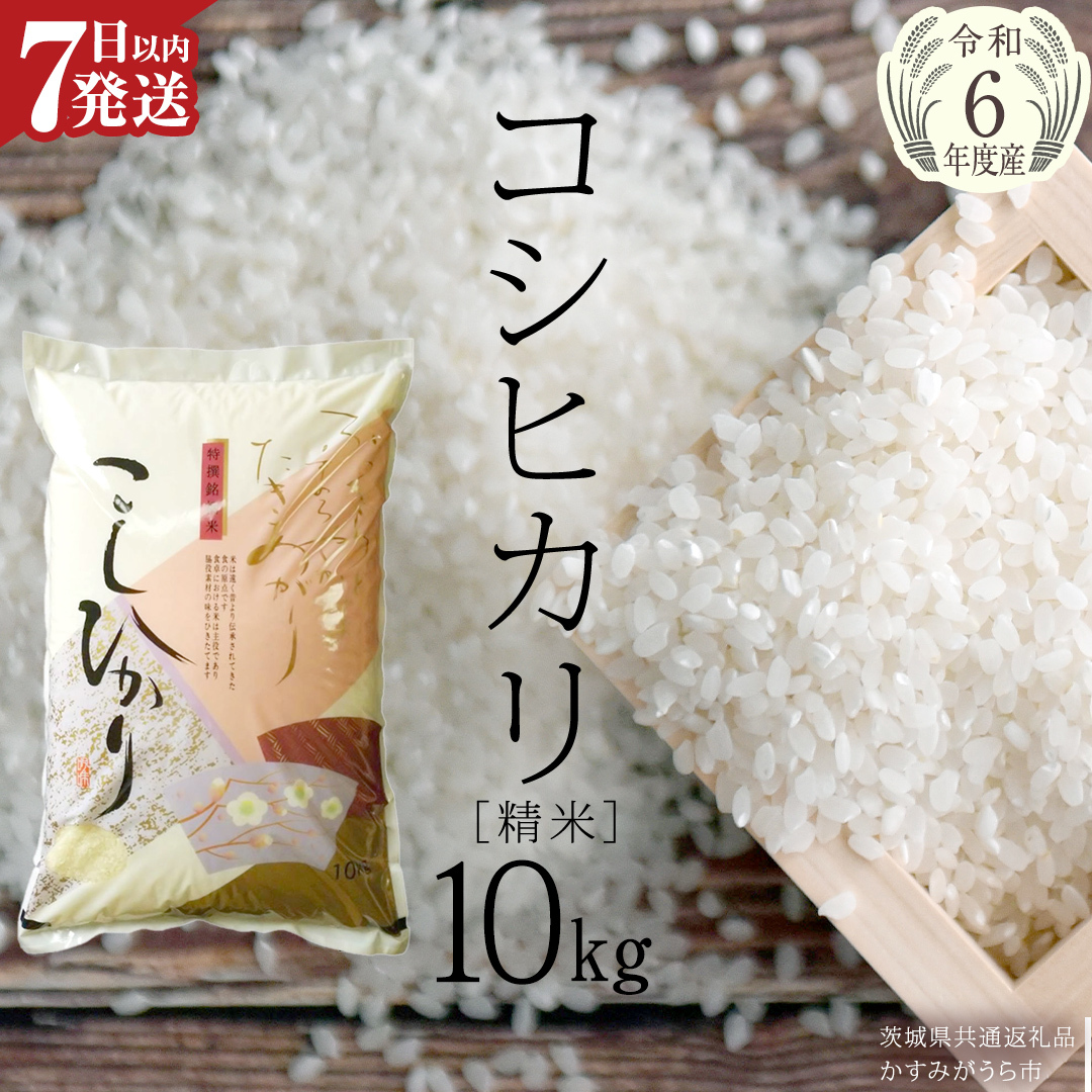 [令和6年産] コシヒカリ 精米 10kg ( 10kg × 1袋 ) (茨城県共通返礼品 かすみがうら市) 米 ごはん もっちり 甘い コメ お米 白米 [EX009sa]