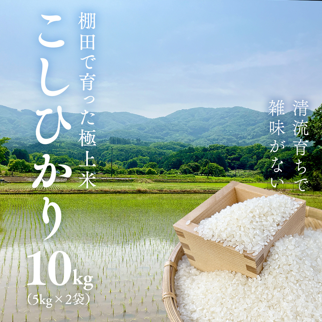 《 令和7年産 先行予約 》棚田で育った極上米 こしひかり 10kg ( 5kg × 2袋 ) 米 お米 白米 コメ ごはん 精米 コシヒカリ 国産 銘柄米 [SC062sa]
