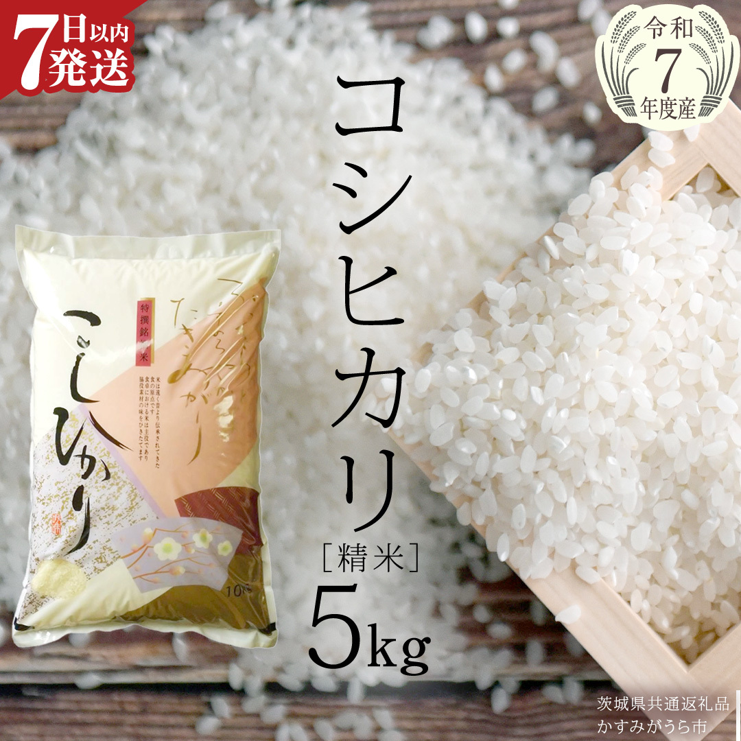 ≪ 令和7年度 新米 ≫ コシヒカリ 精米 5kg ( 5kg × 1袋 ) (茨城県共通返礼品 かすみがうら市産) 新米 米 ごはん もっちり 甘い コメ お米 白米 銘柄米[EX010sa]