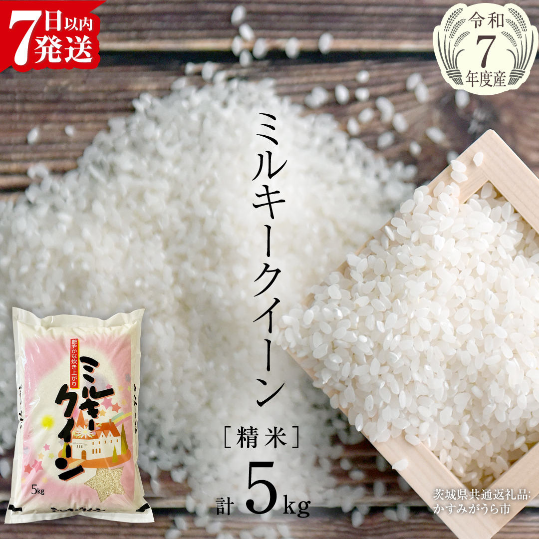 【令和7年産】 ミルキークイーン 精米 5kg（5kg×1袋）（茨城県共通返礼品 かすみがうら市産） 新米 米 ごはん もっちり 甘い コメ お米 白米 銘柄米 [EX016sa]