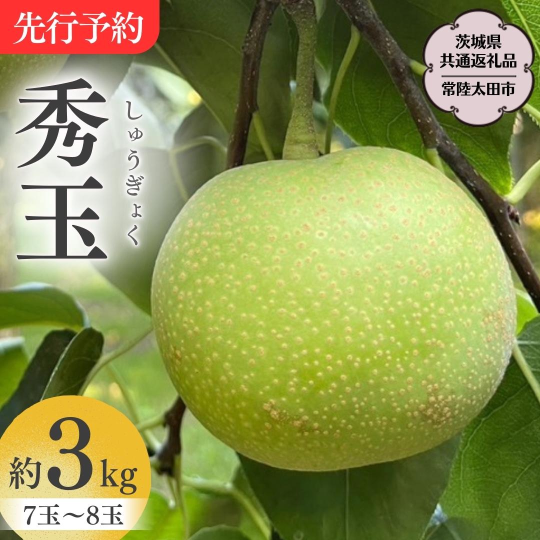 先行予約 】 『幻の梨』秀玉 約3kg 常陸太田市からお届け 7玉～8玉 【茨城県共通返礼品】桧山果樹園 農家直送 桧山果樹園 農家直送 フルーツ  甘い 直送 茨城 限定 ギフト 梨 秀玉 しゅうぎょく 果物 [DU005sa] | 茨城県桜川市 | JRE MALLふるさと納税