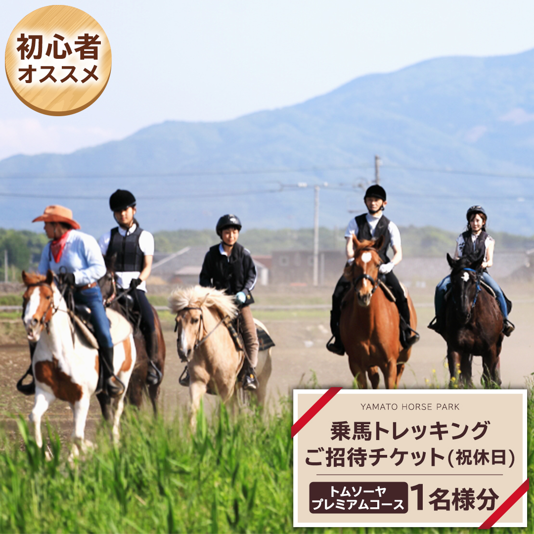 乗馬体験１回コース（20分）  乗馬 トレッキング 体験チケット アウトドア  [DE007sa]