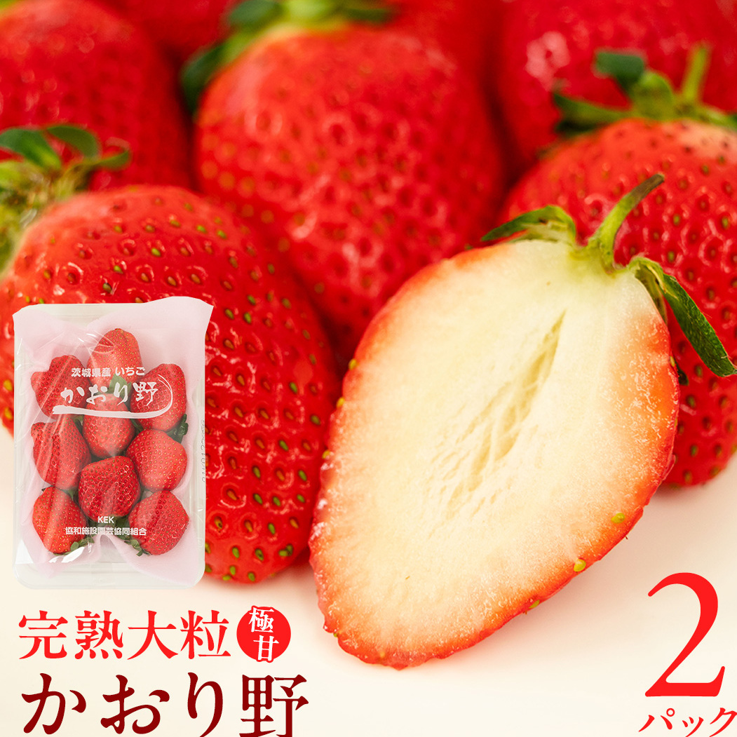【 2026年1月上旬発送開始 】 完熟 かおり野 260g×2P 国産 いちご イチゴ 苺 果物 フルーツ 茨城県産 KEK 果物 フルーツ [BC024sa]