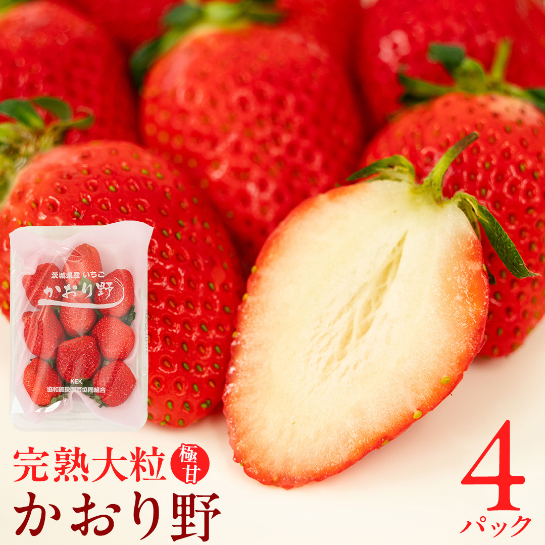 【 2026年1月上旬発送開始 】 完熟 かおり野 260g×4P 国産 いちご イチゴ 苺 果物 フルーツ 茨城県産 KEK 果物 フルーツ [BC032sa]