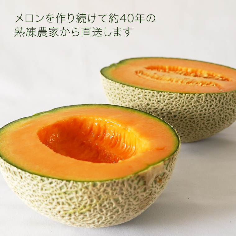 甘いレッドメロン　赤肉メロン　メロン 庄内レッドメロン通販 山形産。砂丘赤肉メロンを販売取寄。お中元に